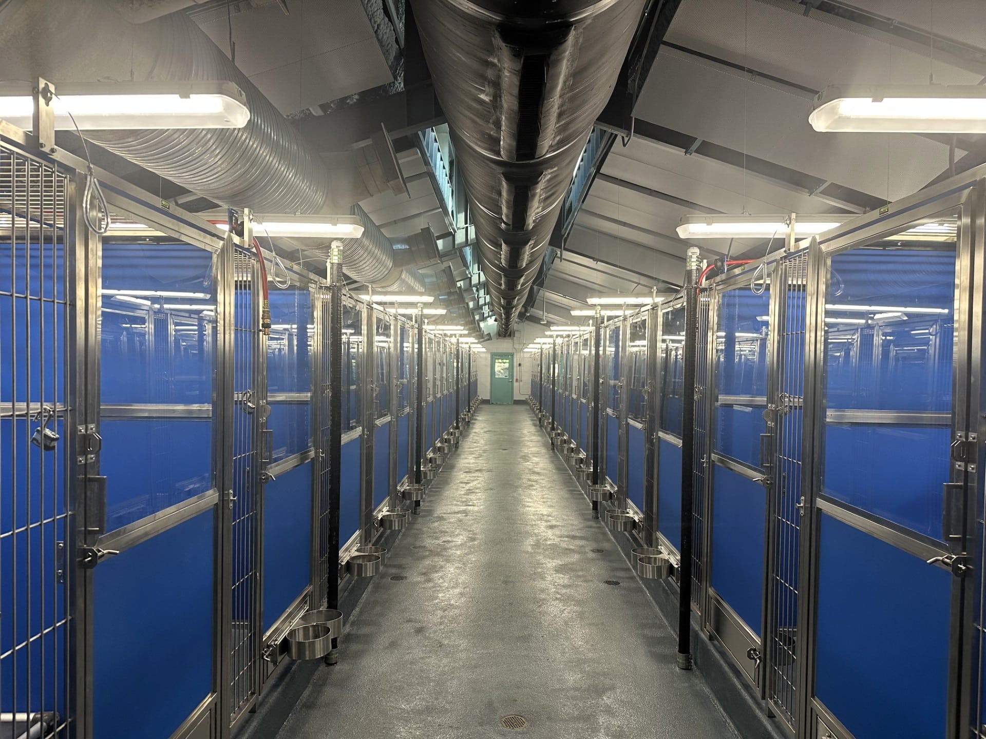 Animal Services Center Renovation